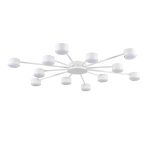 Большая потолочная люстра Lumion Torina 8343/12C