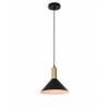 Подвесной светильник Escada 1108/1S Black