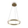 Подвесной светильник Maytoni Rim MOD058PL-L22BSK фото 2