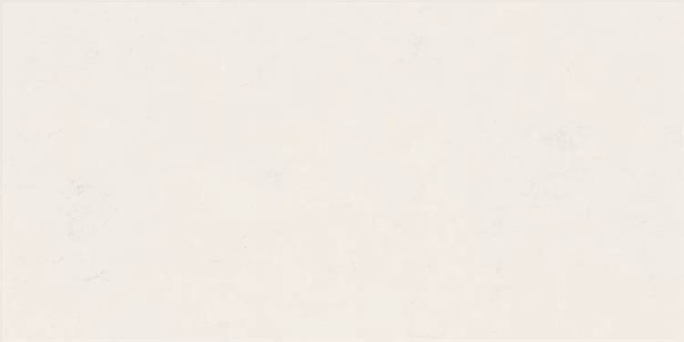 Керамическая плитка ABK Wide&Style Mini PF60008228 Snow Ret 60x120