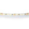 Светодиодная влагозащищенная лента Lightstar 420854