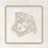 Вставка Versace Emote G0262580 Tozzetto Onice Bianco 4x4