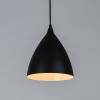 Подвесной светильник Arte Lamp Lark A7075SP-1BK фото 3