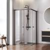 Душевой уголок Am.Pm X-Joy W94G-403-100100-BT1K профиль черный матовый, стекло прозрачное, 100x100x190 фото 3