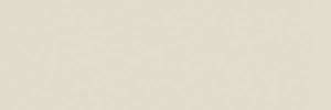 Керамогранит TAU Ceramica Tornares Hiru White Rec 16.3x51.7