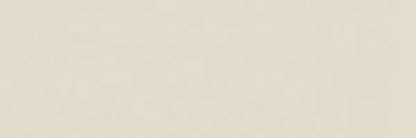 Керамогранит TAU Ceramica Tornares Hiru White Rec 16.3x51.7