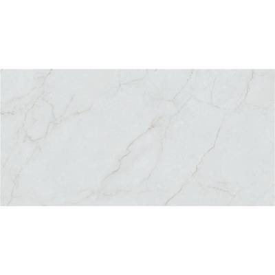 Керамогранит STN Ceramica Caryn Bianco Pul Rect 60x120