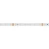 Светодиодная лента Arlight 4,8W/m 60LED/m 2835SMD теплый белый 5M 024110(2) фото 2