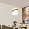 Подвесной светильник Imperium Loft Broom 178176-22 фото 8