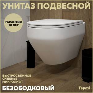 Унитаз подвесной Teymi Demi T40208 безободковый, с сиденьем микролифт, белый