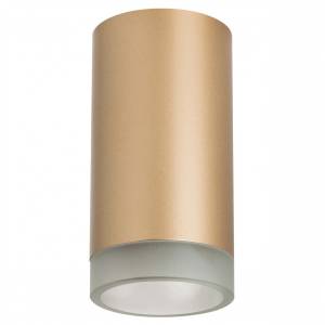 Потолочный светильник Lightstar Rullo R44030