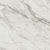 Керамогранит Atlas Concorde Marvel Pro AY2T Statuario Select Lappato 120x120