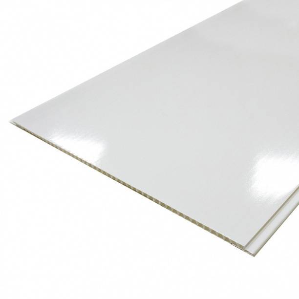 Панель ПВХ ProfBuild Белая Матовая 300x25x0.9