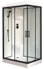 Душевая кабина Royal Bath НР RB8120HP6-WT-BL-L профиль черный, стекло прозрачное, 120x80x217