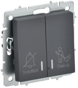 Выключатель 2-клавишный IEK Brite BR-V20-2-10-K53 графит