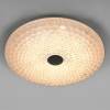 Настенно-потолочный светодиодный светильник Lightstar Arco III 225540 фото 2