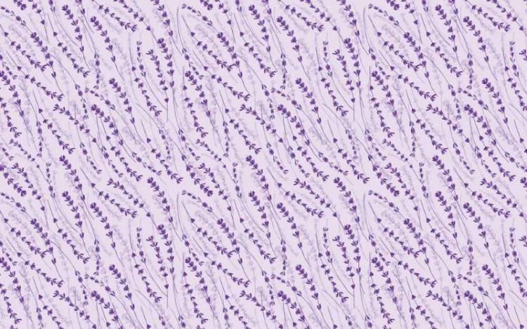 3D Фотообои Artegrafico «Лавандовый узор» PRV-008 канвас