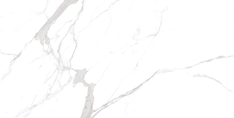 Керамогранит Ocean ceramic OC0000213 Statuario Orindo 60x120