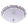 Потолочная люстра MW-Light Ариадна 450013403