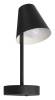 Настенный светильник Loft IT Shelf 10216/1W Black фото 5