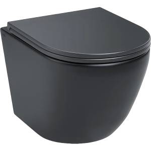 Унитаз подвесной Iddis Blanco BLAR3BMi25 безободковый, с крышкой-сиденьем микролифт