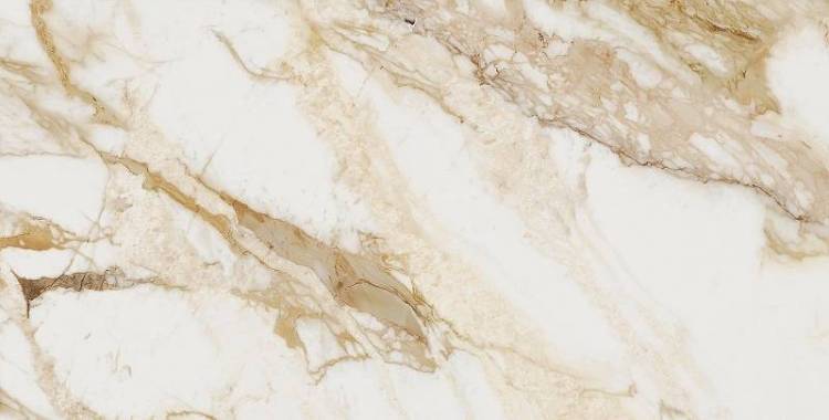 Керамогранит Ocean ceramic OC0000093 Loyal New 60х120