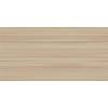 Керамическая плитка Alma Ceramica TWU09RLX404 24.9x50