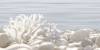 Декор Alma Ceramica Del Mare DWU09DLM624 24.9x50