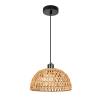 Подвесной светильник Arte Lamp Brushwood A7086SP-1BK