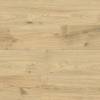 Ламинат Floorwood Paradigma 12/34 4V 8335 Дуб Риман 1220x198