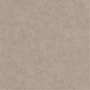 Обои Caselio Beton 101481462