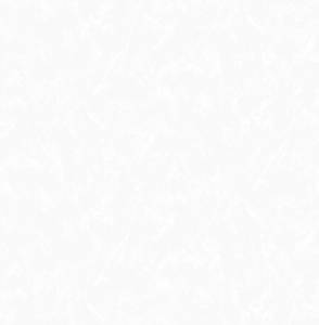 Обои Victoria Stenova Shakira 589201