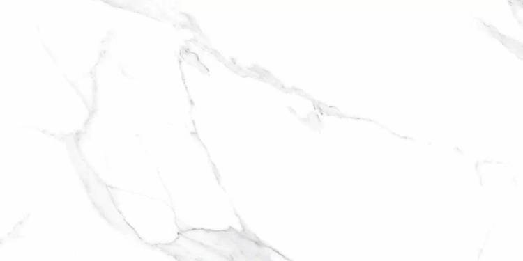 Керамогранит LV Granito Authentic Orlando Bianco 60x120x8.8