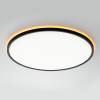 Светильник с пультом Citilux Norma CL749501 LED RGB фото 5