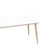 Стол обеденный Stool Group Стокгольм DT-1706-160 DUAL белый 160(220)x90x76 фото 6