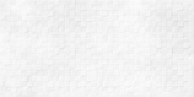 Керамическая плитка AltaCera Santos WT9SOS00 White 24.9x50