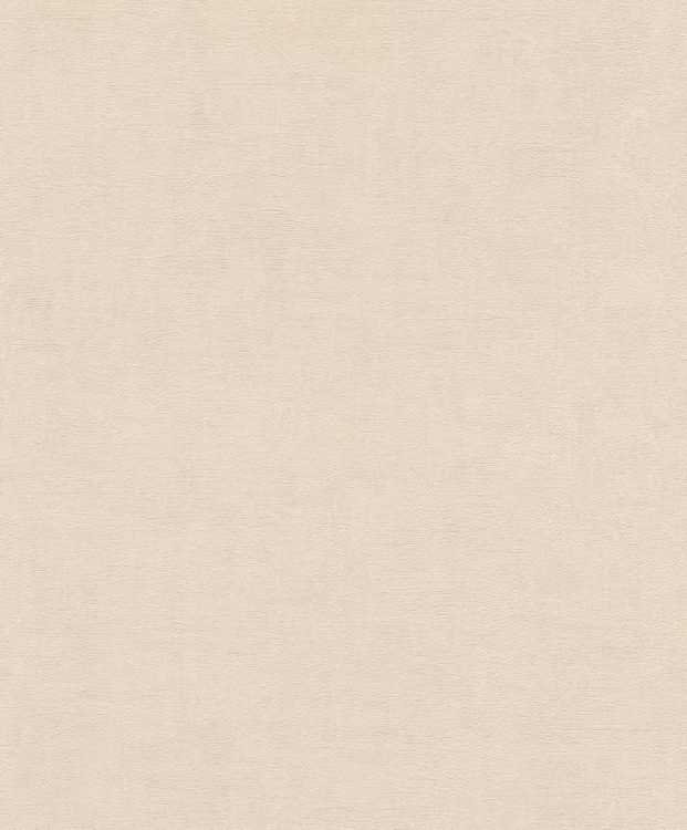Обои Rasch Modern Art 489828