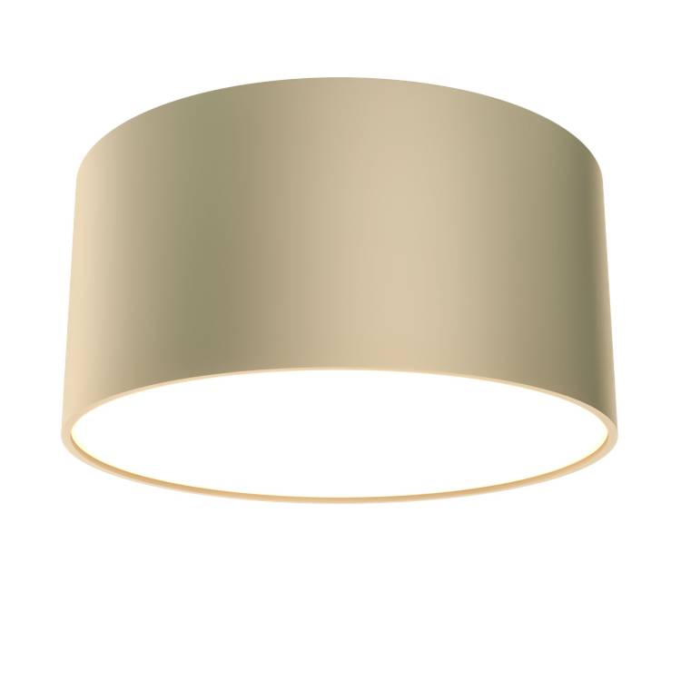 Потолочный светильник Technical Ceiling C032CL-L12MG3K