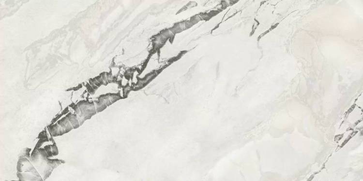 Керамогранит Atlas Concorde Russia Forte Dei Marmi Quark 610010003169 Oyster White Matt Ret 60x120