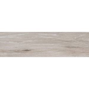 Керамогранит Exagres Forest Base Argent 22x85