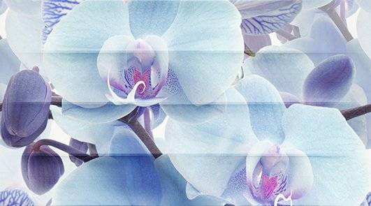 Панно Ceradim Vanda КПН16VandaB Dec Panno B 25x45