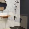 Душевая стойка RGW Shower Panels SP-31B 51140131-04 Черный фото 2