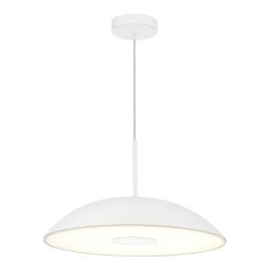 Светильник подвесной ST Luce Lid SL6128.503.01