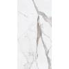 Керамогранит Ariana Epoque PF60004974 White Statuario Lap 60x120
