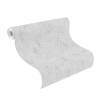 Обои флизелиновые Rasch Color Your Life 315745 фото 2