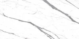 Керамогранит Realistik Carrara Smart Glossy 60x120 Керамогранит Realistik Carrara Smart Glossy 60x120