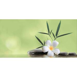 Декор Beryoza Ceramica Ливадия Салатный 25x50 Декор Beryoza Ceramica Ливадия Салатный 25x50