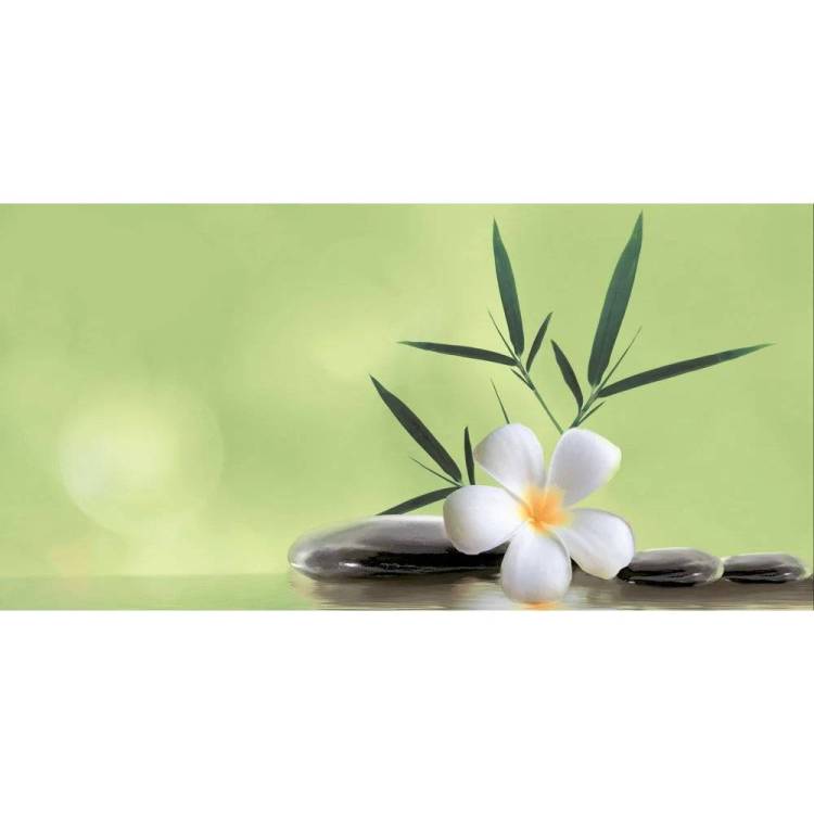 Декор Beryoza Ceramica Ливадия Салатный 25x50