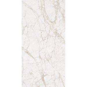 Керамогранит NT Ceramic Marmo NTT99519M Impero Grey Carving 60x120