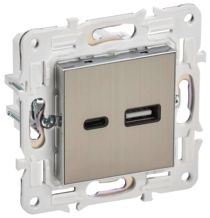 Розетка USB type A+C IEK Skandy SK-U22-D31-K50 никель